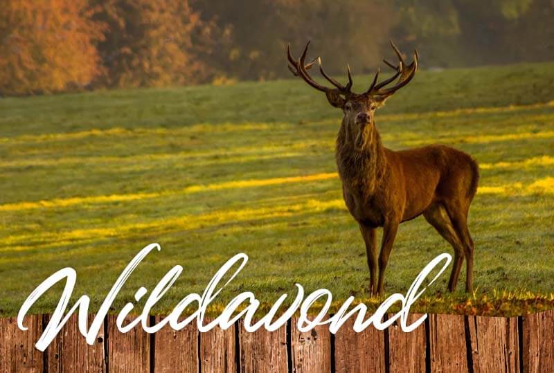 Wildavond - Someren